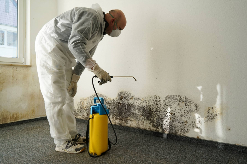 How To Get Rid Of Mold Spores In The Air - Home Inspection Geeks